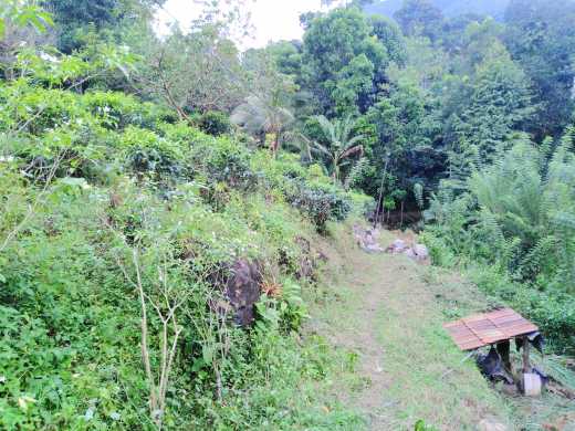 House With Land For Sale..නිවස සමග ඉඩම විකිණීමට ?
