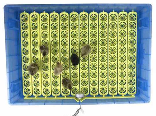 360 Egg incubator