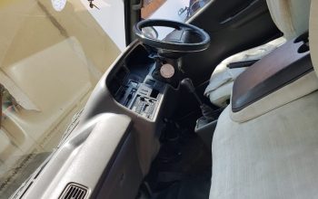 Dolphin van