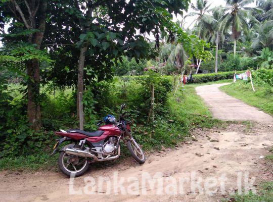 Land Sale Horana