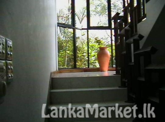 Luxurious house for urgent sale