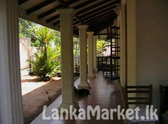 Luxurious house for urgent sale
