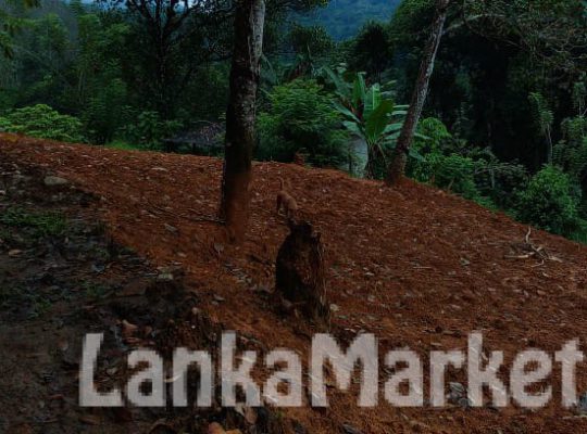 Land For Sale in Pelmadulla