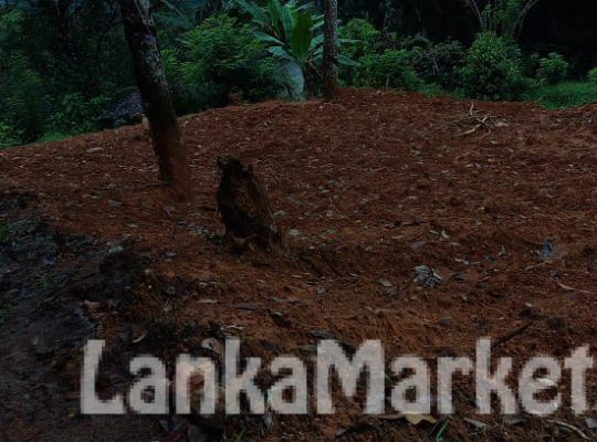 Land For Sale in Pelmadulla