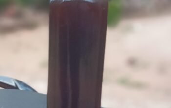 Wold Bee Honey – 100% Pure Natural Bee Honey