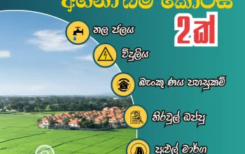 කුණ්ඩසාලේ – මහනුවර 📍 මහමෙවුනා භාවනා මධ්‍යස්ථානය