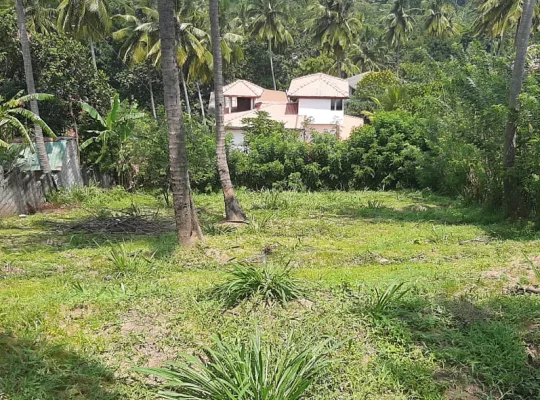 මහනුවර හාරගම 🏙️ උඩරට සඳැල්ල