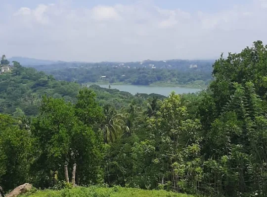 මහනුවර හාරගම 🏙️ උඩරට සඳැල්ල