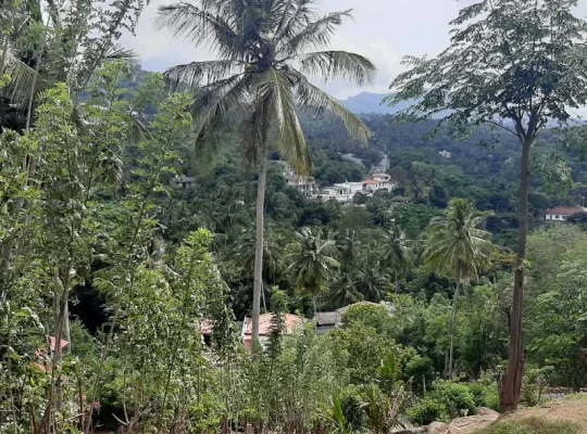 මහනුවර හාරගම 🏙️ උඩරට සඳැල්ල