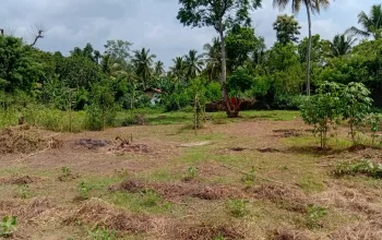 සින්නක්කර ඉඩමක් විකිනීමට ඇත