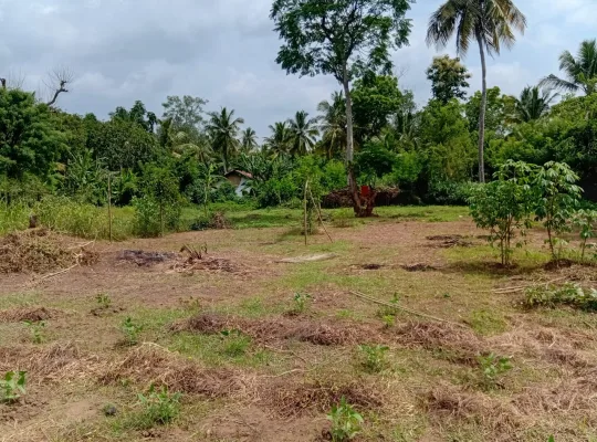 සින්නක්කර ඉඩමක් විකිනීමට ඇත